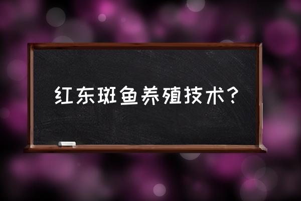 人类黎明养殖场怎么养动物 红东斑鱼养殖技术？