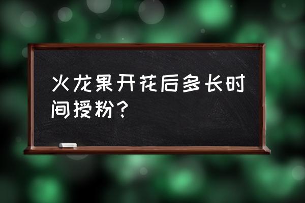 火龙果授粉方法图示 火龙果开花后多长时间授粉？