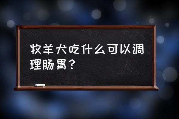 怎么增强宠物肠胃消化 牧羊犬吃什么可以调理肠胃？