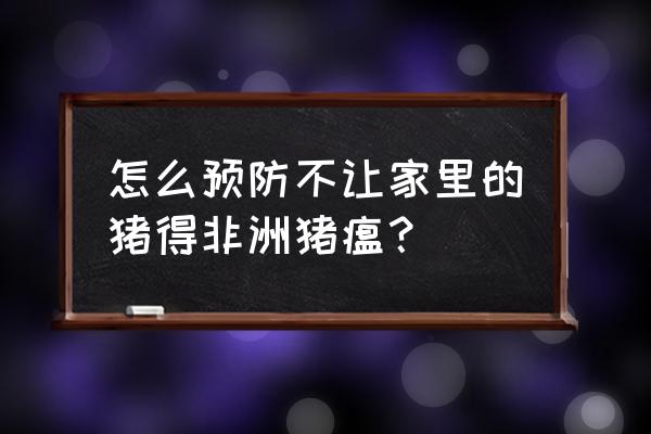 预防非洲猪瘟最佳方案 怎么预防不让家里的猪得非洲猪瘟？