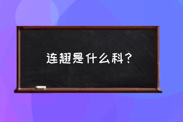 迎春和连翘哪个有皮孔 连翘是什么科？