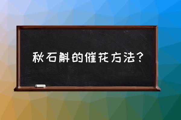 石斛上盆的正确方法 秋石斛的催花方法？