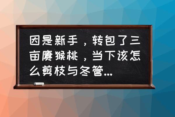 猕猴桃冬季修剪的方法及注意事项 因是新手，转包了三亩猕猴桃，当下该怎么剪枝与冬管？望行家指点？