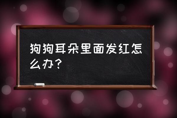 耳朵眼里发红是什么原因 狗狗耳朵里面发红怎么办？