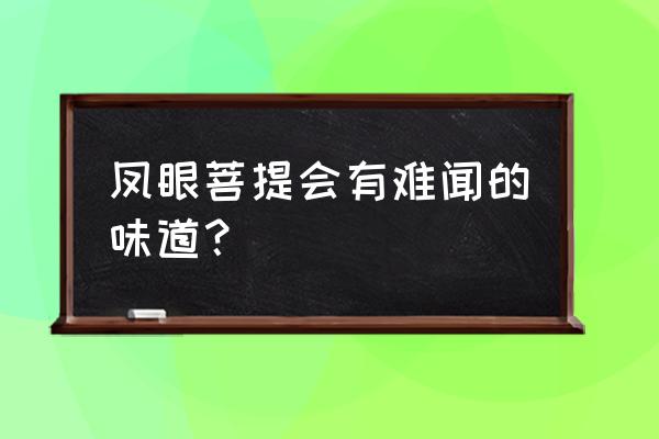 酥油供凤眼怎么操作 凤眼菩提会有难闻的味道？