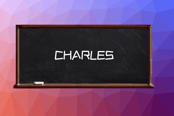 秋冬新款大牌包包穿搭 CHARLES