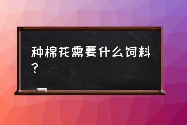 高级免费饲料棉花糖怎么领 种棉花需要什么饲料？