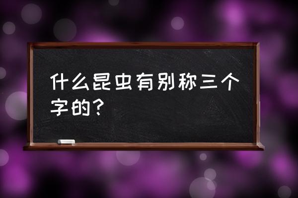 用核桃做简易的七星瓢虫 什么昆虫有别称三个字的？