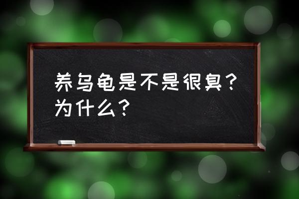 怎样去除乌龟缸的臭味 养乌龟是不是很臭？为什么？