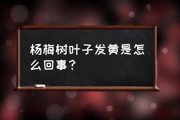 杨梅树的黄叶病的防治 杨梅树叶子发黄是怎么回事？