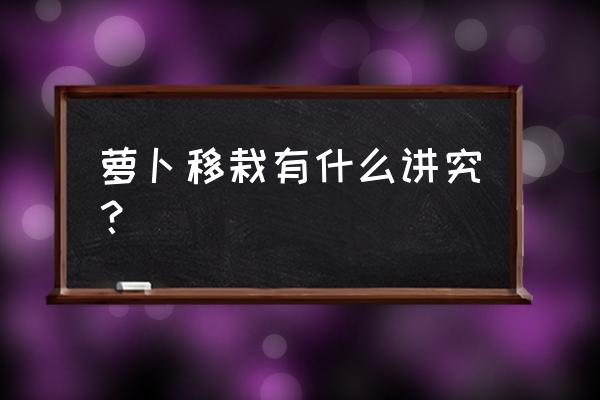 种白菜萝卜的步骤和方法 萝卜移栽有什么讲究？