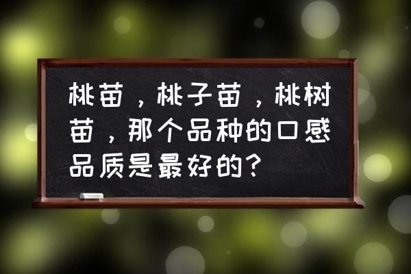 晚熟冬桃树苗品种大全 桃苗，桃子苗，桃树苗，那个品种的口感品质是最好的？