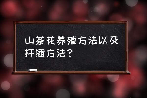 眼睛细长且小怎么整容 山茶花养殖方法以及扦插方法？