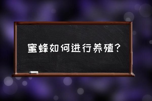 从零开始学养蜂入门 蜜蜂如何进行养殖？