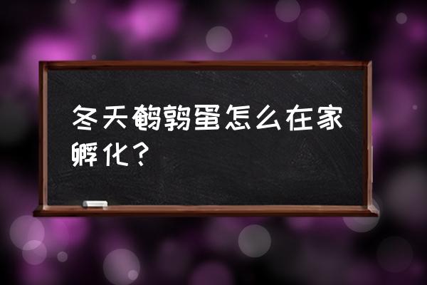 鹌鹑汤冬天的炖法 冬天鹌鹑蛋怎么在家孵化？