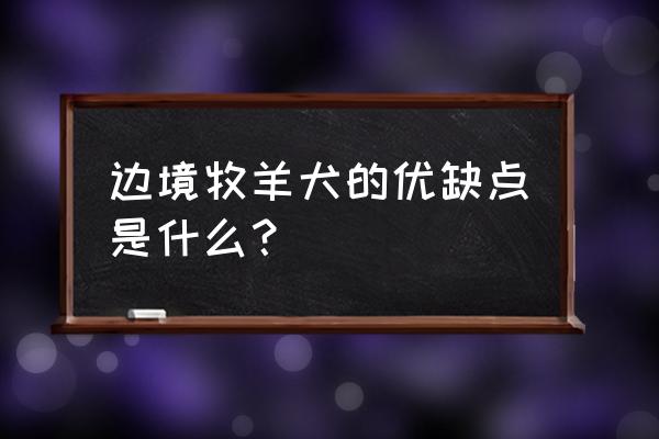 边牧为什么有时不愿意搭理主人 边境牧羊犬的优缺点是什么？