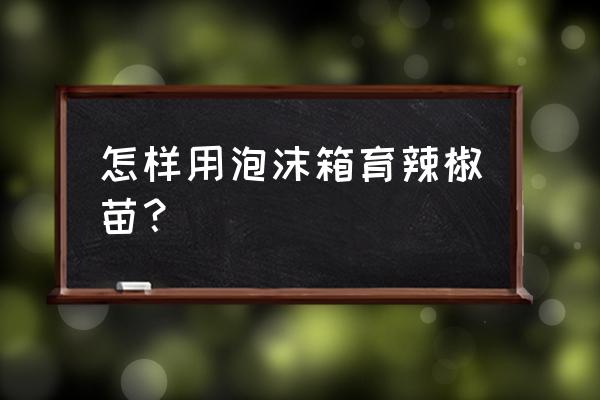 10公分的泡沫箱栽辣椒浅不浅 怎样用泡沫箱育辣椒苗？