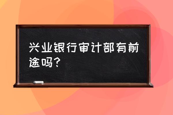 从零基础到精通手把手教你做审计 兴业银行审计部有前途吗？