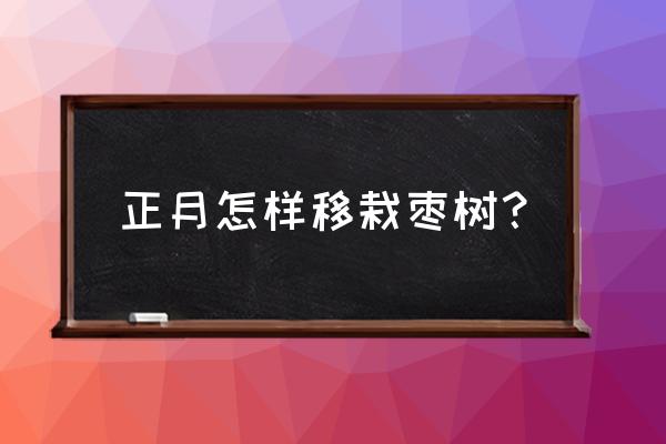 怎样盆栽种植枣树 正月怎样移栽枣树？