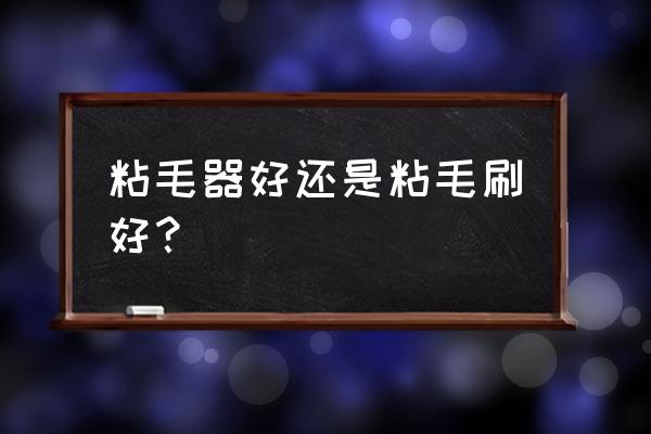 粘毛器可水洗好用不 粘毛器好还是粘毛刷好？