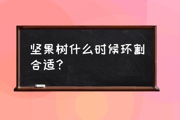 冬季吃坚果最佳时间 坚果树什么时候环割合适？