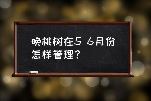 果园怎么消灭蜗牛和鼻涕虫 晚桃树在5 6月份怎样管理？