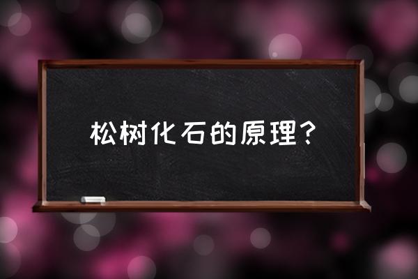 树木化石为什么会变成石头 松树化石的原理？