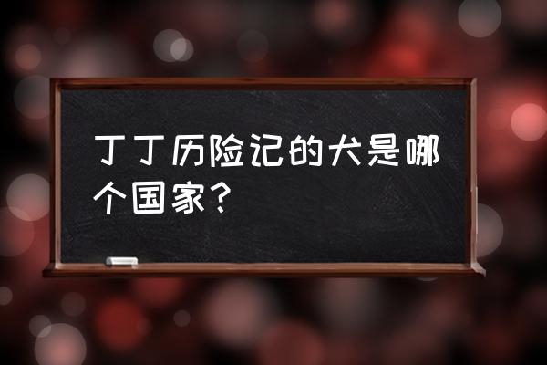 丁丁历险记游戏攻略第三章 丁丁历险记的犬是哪个国家？