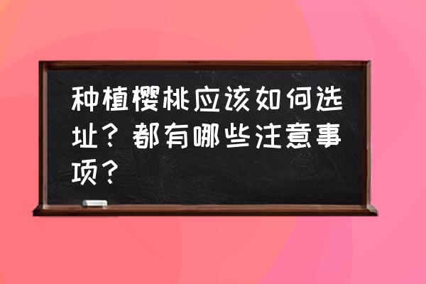 如何正确挑选到好吃的樱桃 种植樱桃应该如何选址？都有哪些注意事项？