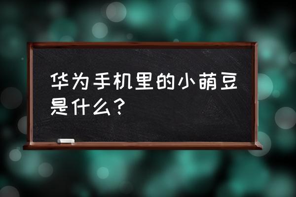 多肉萌豆的习性和养殖方法 华为手机里的小萌豆是什么？