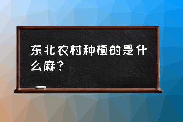 火麻的种植时间和方法 东北农村种植的是什么麻？