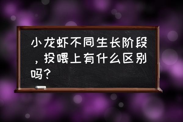 吃小龙虾能不能喝豆浆 小龙虾不同生长阶段，投喂上有什么区别吗？