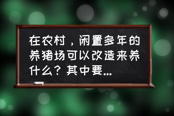 农村养殖什么不用辛苦管理呢 在农村，闲置多年的养猪场可以改造来养什么？其中要注意什么？