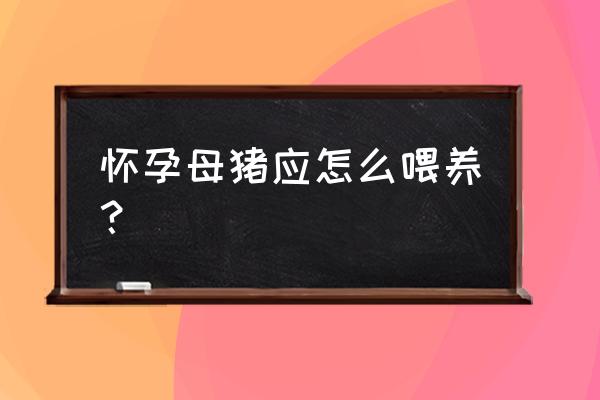 母猪各个阶段的注意事项 怀孕母猪应怎么喂养？