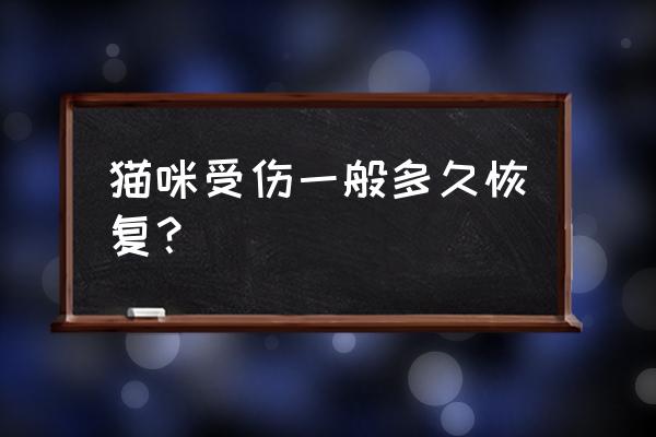 被撞内伤几天可以排除 猫咪受伤一般多久恢复？