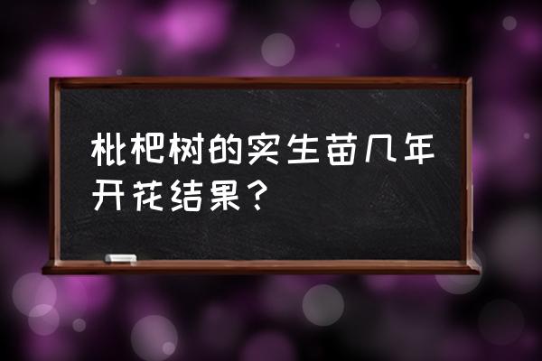 枇杷实生苗的培育方法 枇杷树的实生苗几年开花结果？