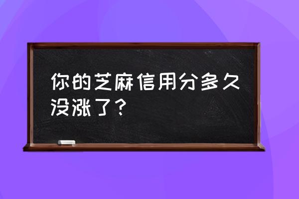 支付宝发呗可以取现吗 你的芝麻信用分多久没涨了？