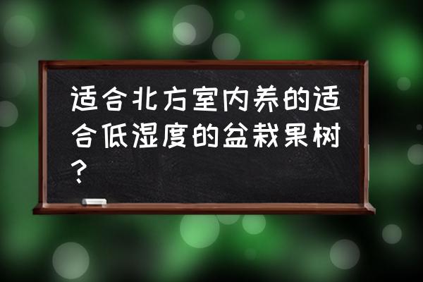 北方庭院适合种的小型果树 适合北方室内养的适合低湿度的盆栽果树？