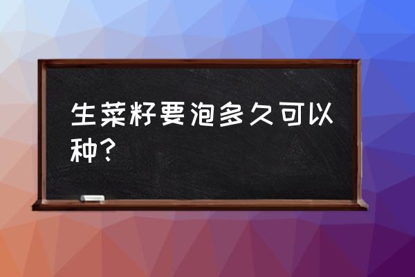 菜籽怎么种植才长得快 生菜籽要泡多久可以种？