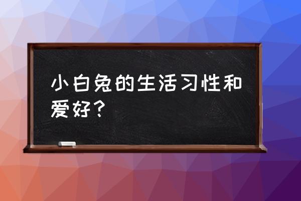 养兔子需要知道什么 小白兔的生活习性和爱好？