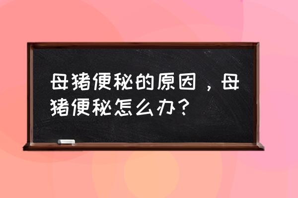 母猪便秘不吃最佳解决方法 母猪便秘的原因，母猪便秘怎么办？