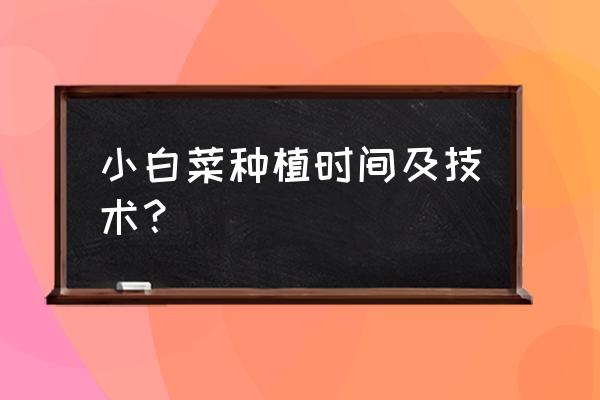 阳台种菜补苗最佳方法 小白菜种植时间及技术？