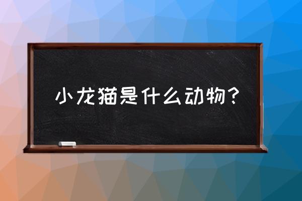 宫崎骏的龙猫是真实改编的吗 小龙猫是什么动物？