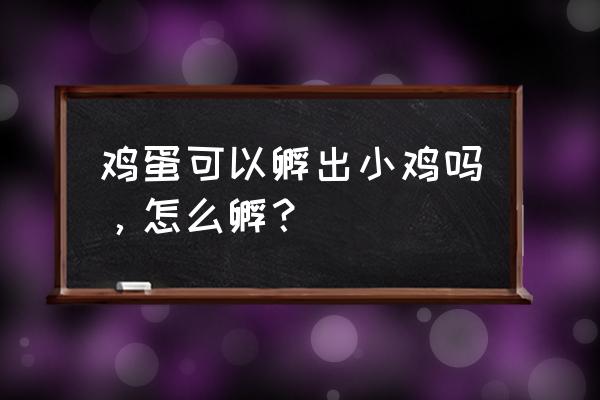 小鸡孵化的方法和技术步骤 鸡蛋可以孵出小鸡吗，怎么孵？