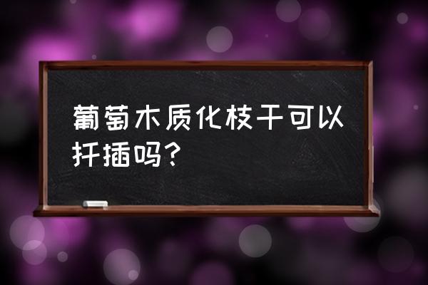 葡萄嫩枝扦插的缺点是什么 葡萄木质化枝干可以扦插吗？