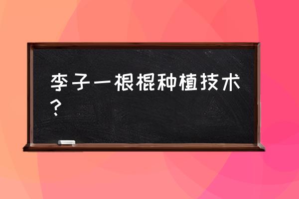 李子的种植和管理技术 李子一根棍种植技术？