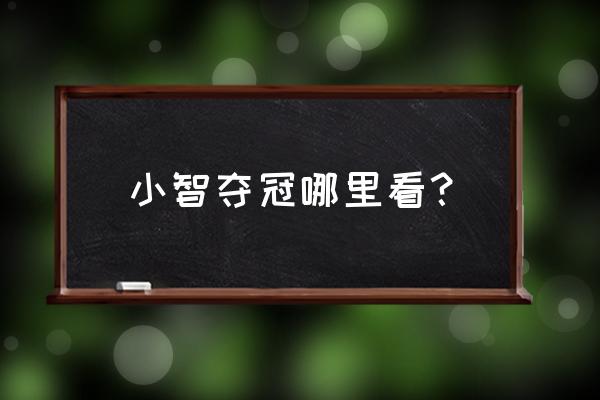 宠物小精灵小智夺冠是哪一部 小智夺冠哪里看？