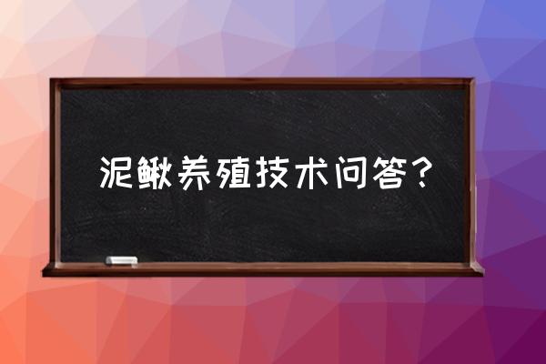 泥鳅养殖厂家联系方式 泥鳅养殖技术问答？