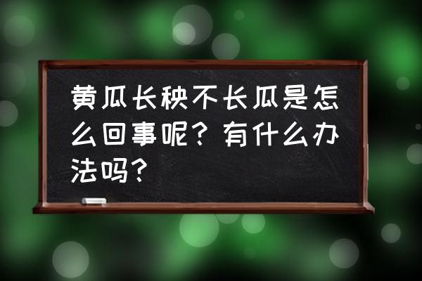 怎样种好黄瓜的小妙招 黄瓜长秧不长瓜是怎么回事呢？有什么办法吗？