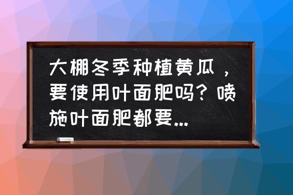 黄瓜不放冰箱怎么保存至冬天 大棚冬季种植黄瓜，要使用叶面肥吗？喷施叶面肥都要注意什么？